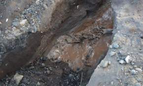 [FOTOS] Osamentas encontradas en Concón tendrían cerca de 2000 años de antigüedad