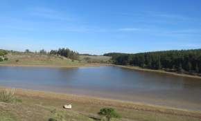 [FOTOS] Lagunas de la Reserva Nacional El Yali vuelven a tener agua luego de dos años