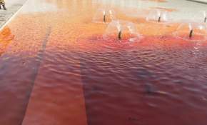  [FOTOS] Tiñen de rojo piscinas de La Moneda en conmemoración del Día del Detenido Desaparecido