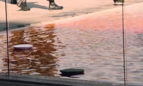 [FOTOS] Tiñen de rojo piscinas de La Moneda en conmemoración del Día del Detenido Desaparecido
