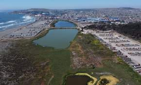 [FOTOS] Mega Puerto en San Antonio provocaría daño irreversible al Santuario de la Naturaleza Humedal Río Maipo