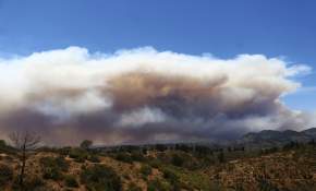 Alerta Roja en Valparaíso y Quilpué por incendio forestal 