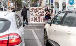 [FOTOS] Manifestantes protestaron en contra de proyecto inmobiliario y en defensa del bosque de Reñaca
